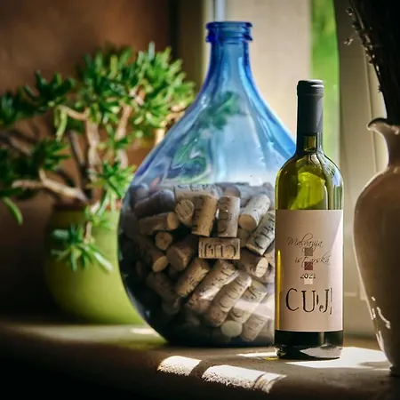 ベッド・アンド・ブレックファスト Winery Cuj 4*