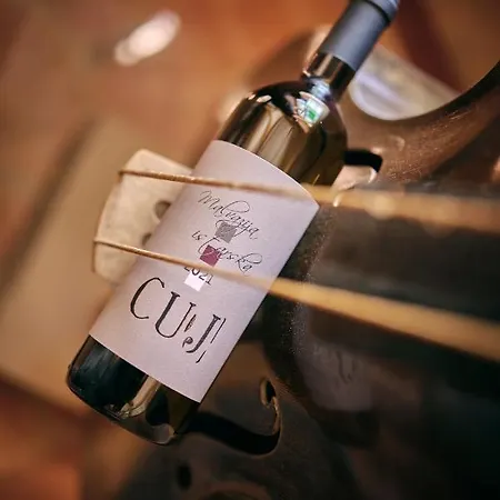 Winery Cuj ベッド・アンド・ブレックファスト