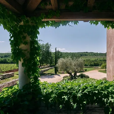 Winery Cuj *