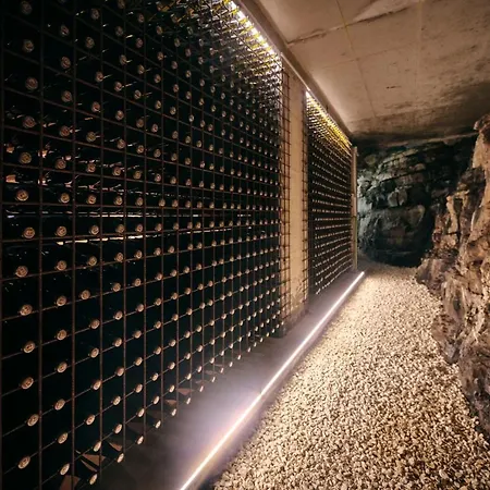 Winery Cuj Bed & Breakfast *