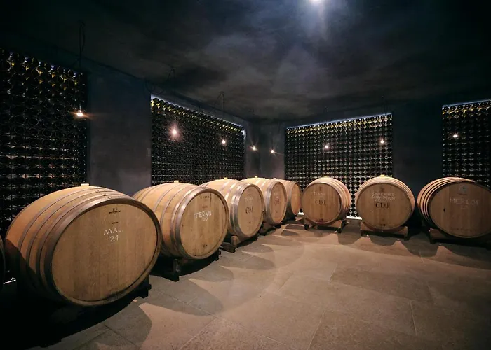 Bed & Breakfast Winery Cuj 4*