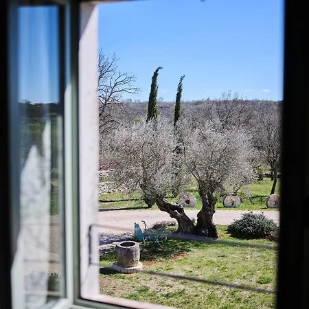 Winery Cuj Bed & Breakfast Vilanija