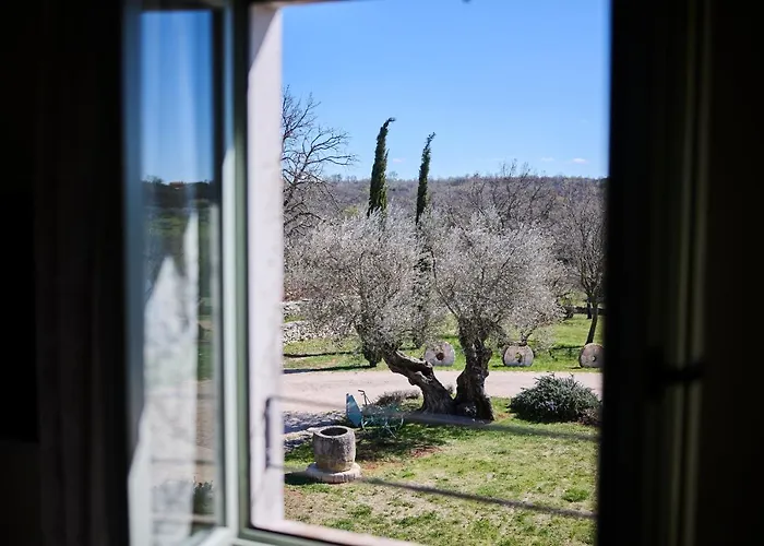 Winery Cuj Bed and breakfast Vilanija