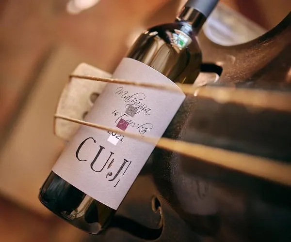 Winery Cuj Bed and breakfast